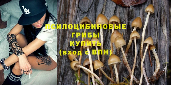 стаф Алексеевка