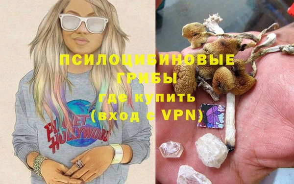 стаф Алексеевка