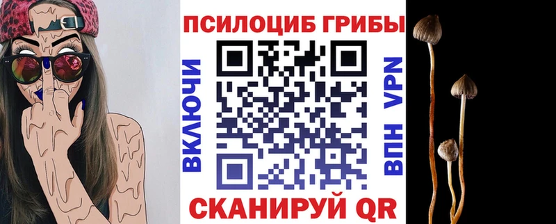 kraken как зайти  купить наркотики сайты  Бикин  Галлюциногенные грибы Psilocybe 